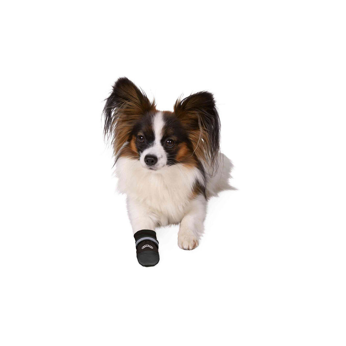 Obuv Trixie Černý S